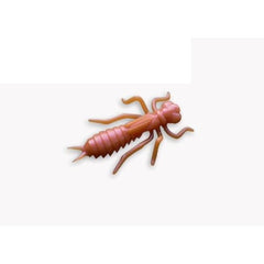 Kasari