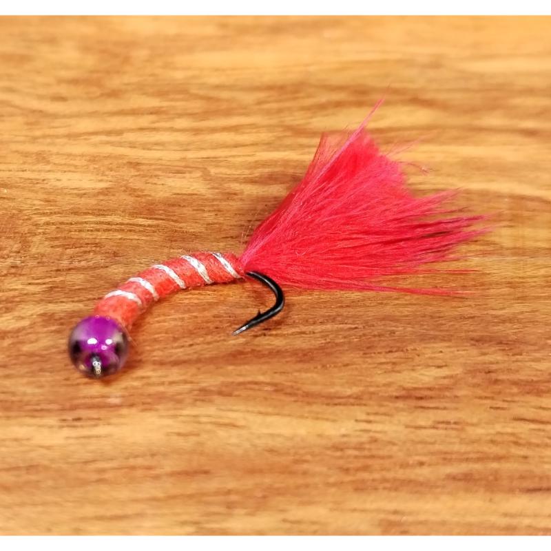 Pack de 5 Bloodworm