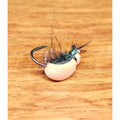 Escaravelho de espuma (Foam Beetle) - 5 unidades