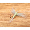 Pack de 5 Moscas secas Fly-Rite 34