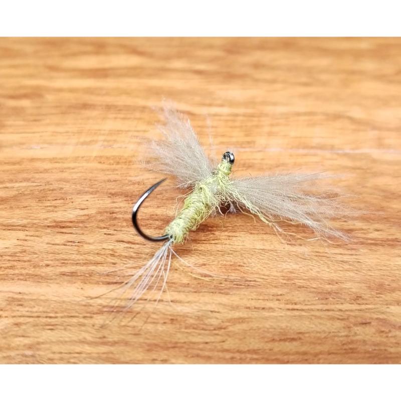 Pack de 5 Moscas secas Fly-Rite 34