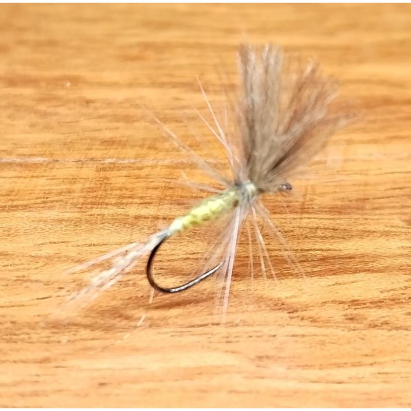 Pack de 5 Efémera Baetis