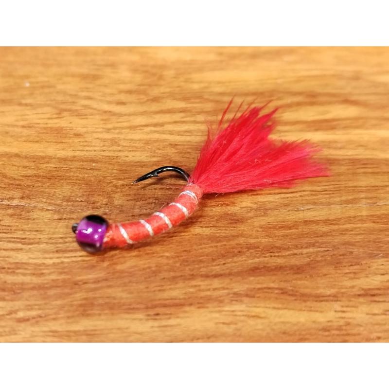 Pack de 5 Bloodworm
