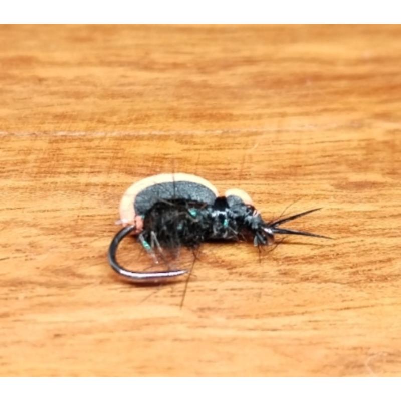 Escaravelho de espuma (Foam Beetle) - 5 unidades