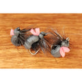 Escaravelho de espuma Mod. 2 (Foam Beetle) - 5 unidades