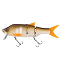 Amostra swimbait Fishus Cerberus Lite em cor AY Ayu para pesca de predadores em águas interiores e costeiras