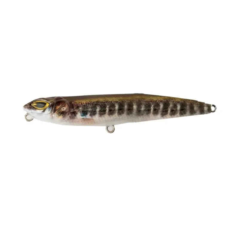 Cinnetic Mini Zig Walker 75F 75mm cor 17