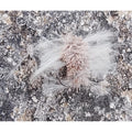 Kit de 5 moscas Bread Fly c/pelo veado flutuante